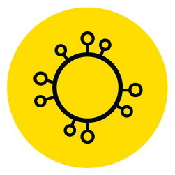 Mold